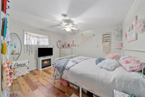 Tiny photo for 769 Christenson Rd, Deer Lodge, TN 37726 (MLS # 1318465)