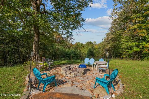 Tiny photo for 769 Christenson Rd, Deer Lodge, TN 37726 (MLS # 1318465)