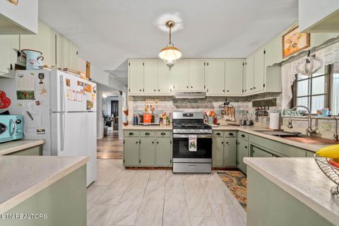 Tiny photo for 769 Christenson Rd, Deer Lodge, TN 37726 (MLS # 1318465)