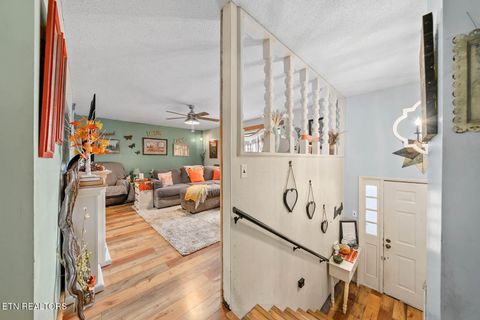 Tiny photo for 769 Christenson Rd, Deer Lodge, TN 37726 (MLS # 1318465)