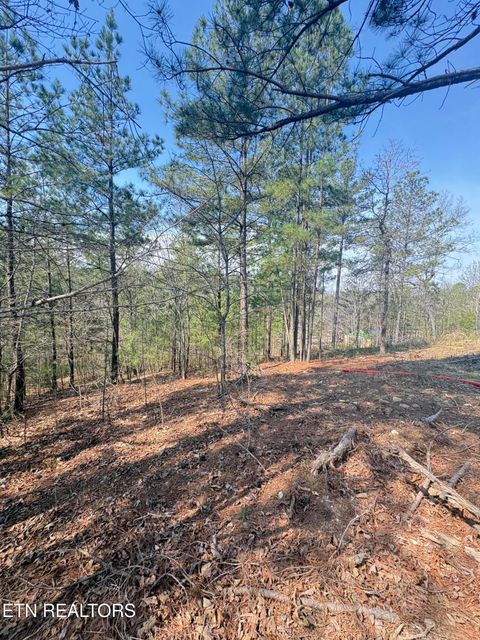 Tiny photo for 400 Moore Cemetery Rd, Decatur, TN 37322 (MLS # 1334133)