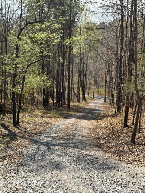 Tiny photo for 400 Moore Cemetery Rd, Decatur, TN 37322 (MLS # 1334133)