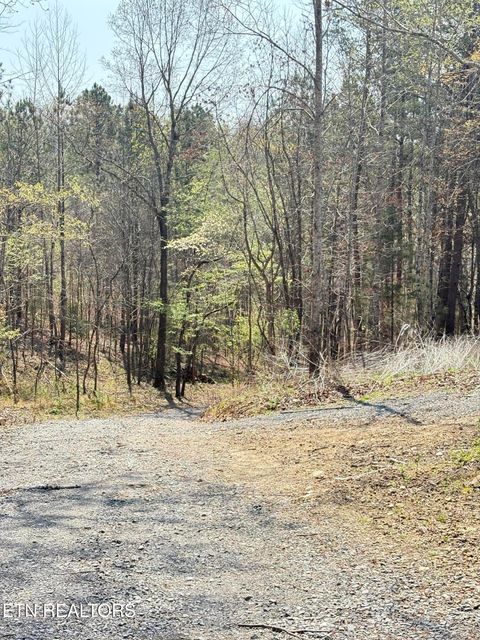 Tiny photo for 400 Moore Cemetery Rd, Decatur, TN 37322 (MLS # 1334133)