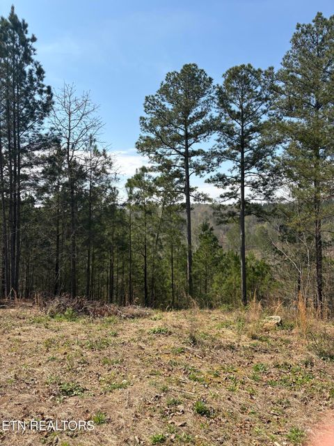 Tiny photo for 400 Moore Cemetery Rd, Decatur, TN 37322 (MLS # 1334133)