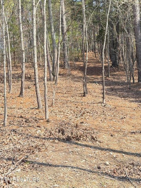Tiny photo for 400 Moore Cemetery Rd, Decatur, TN 37322 (MLS # 1334133)