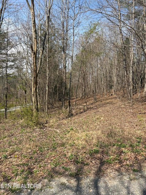 Tiny photo for 400 Moore Cemetery Rd, Decatur, TN 37322 (MLS # 1334133)