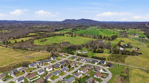 Tiny photo for 8436 Reality Lane, Corryton, TN 37721 (MLS # 1334761)