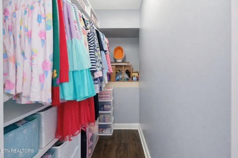 Tiny photo for 8436 Reality Lane, Corryton, TN 37721 (MLS # 1334761)