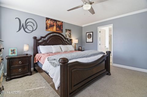 Tiny photo for 8436 Reality Lane, Corryton, TN 37721 (MLS # 1334761)