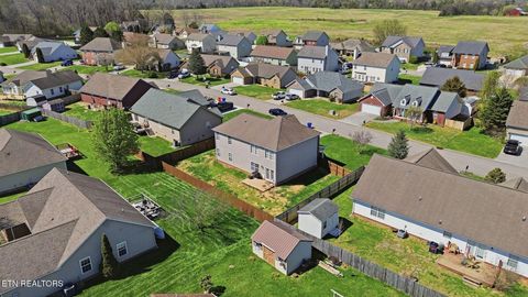 Tiny photo for 8436 Reality Lane, Corryton, TN 37721 (MLS # 1334761)