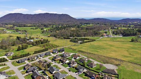 Tiny photo for 8436 Reality Lane, Corryton, TN 37721 (MLS # 1334761)