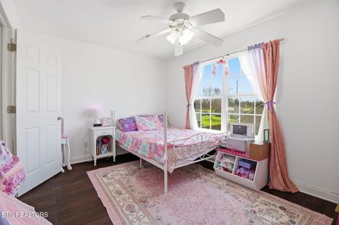 Tiny photo for 8436 Reality Lane, Corryton, TN 37721 (MLS # 1334761)