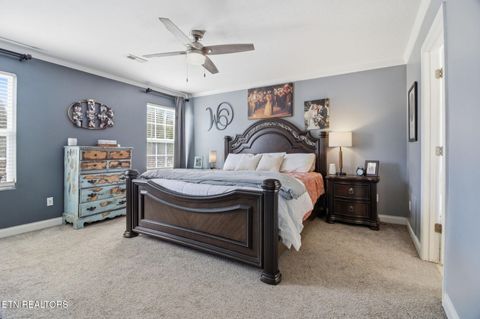 Tiny photo for 8436 Reality Lane, Corryton, TN 37721 (MLS # 1334761)