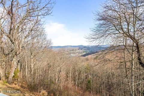 Tiny photo for 286 Bobcat Tr, Caryville, TN 37714 (MLS # 1331778)