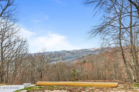 Tiny photo for 286 Bobcat Tr, Caryville, TN 37714 (MLS # 1331778)