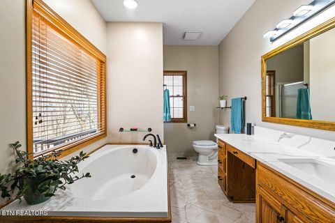 Tiny photo for 286 Bobcat Tr, Caryville, TN 37714 (MLS # 1331778)