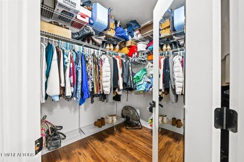 Tiny photo for 286 Bobcat Tr, Caryville, TN 37714 (MLS # 1331778)