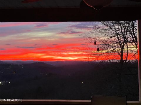 Tiny photo for 286 Bobcat Tr, Caryville, TN 37714 (MLS # 1331778)