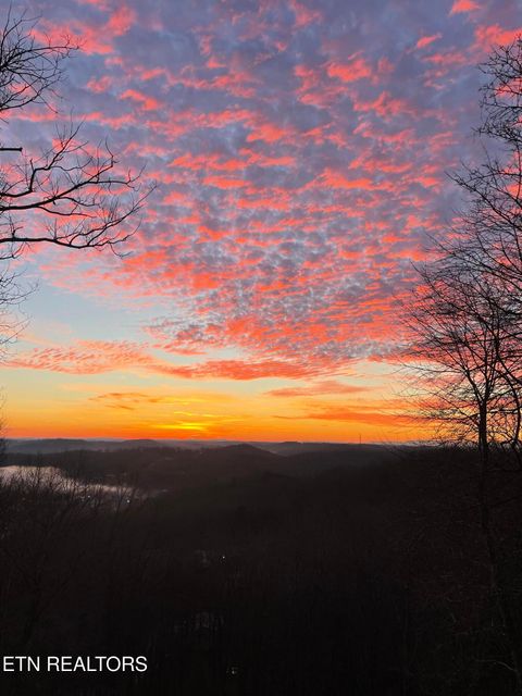 Tiny photo for 286 Bobcat Tr, Caryville, TN 37714 (MLS # 1331778)