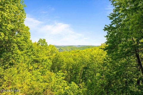 Tiny photo for 286 Bobcat Tr, Caryville, TN 37714 (MLS # 1331778)