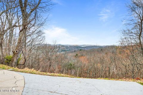 Tiny photo for 286 Bobcat Tr, Caryville, TN 37714 (MLS # 1331778)