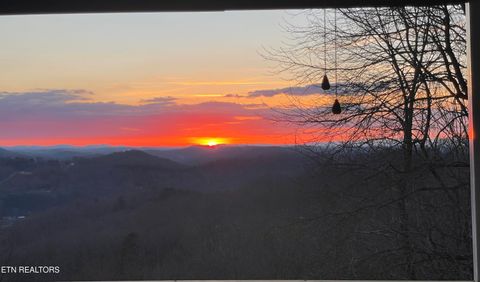 Tiny photo for 286 Bobcat Tr, Caryville, TN 37714 (MLS # 1331778)