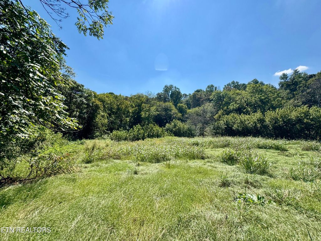 Photo of Randolph Fridley Rd, Sweetwater, TN 37874 (MLS # 1316557)