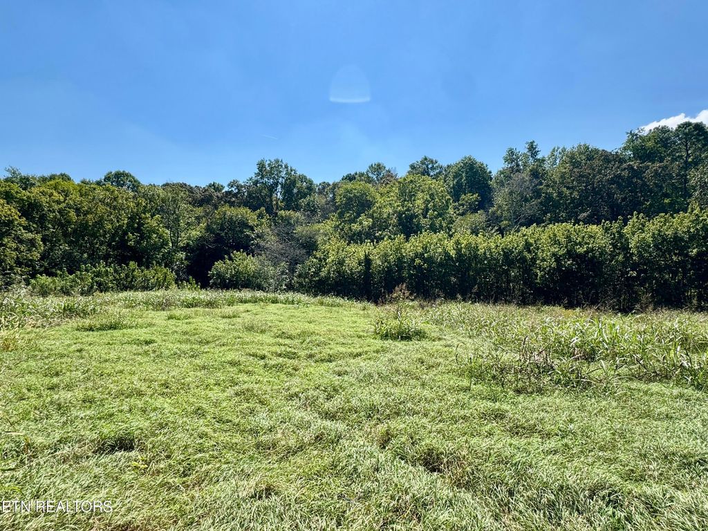 Photo of Randolph Fridley Rd, Sweetwater, TN 37874 (MLS # 1316557)