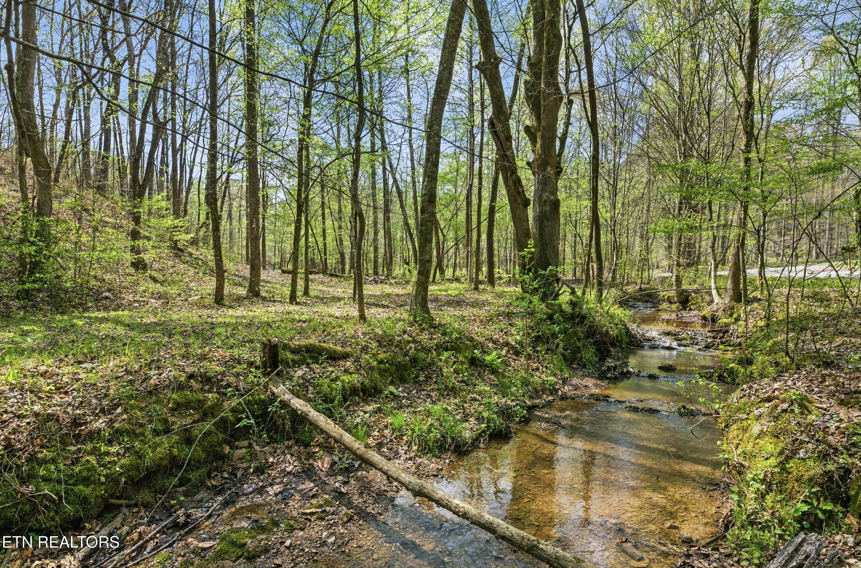 376 County Road 184