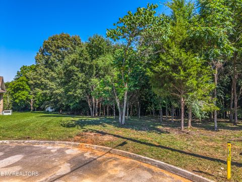 Tiny photo for Lot 30 Sullivan Pointe PT, Dandridge, TN 37725 (MLS # 1343513)