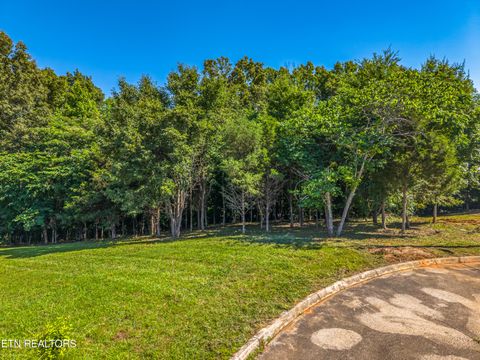 Tiny photo for Lot 30 Sullivan Pointe PT, Dandridge, TN 37725 (MLS # 1343513)