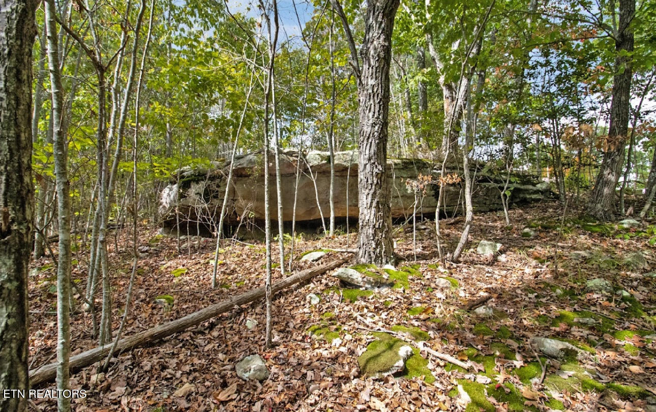 6436 Smith Mountain Rd
