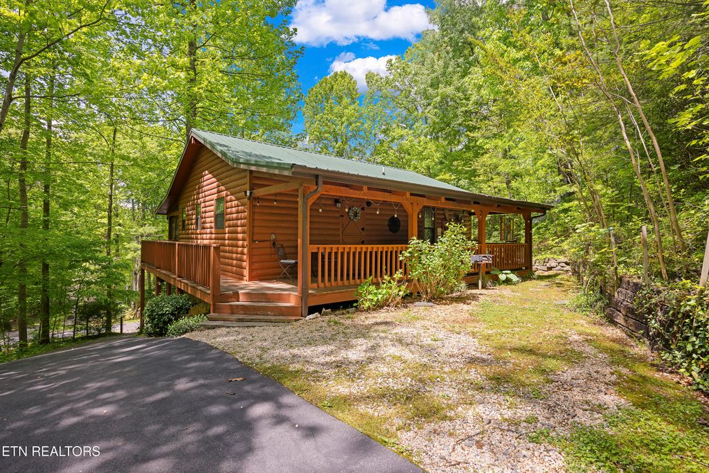 Photo of 951 Emilyville Way, Cosby, TN 37722 (MLS # 1339184)