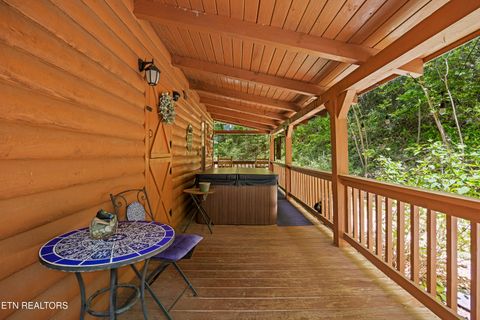 Tiny photo for 951 Emilyville Way, Cosby, TN 37722 (MLS # 1339184)