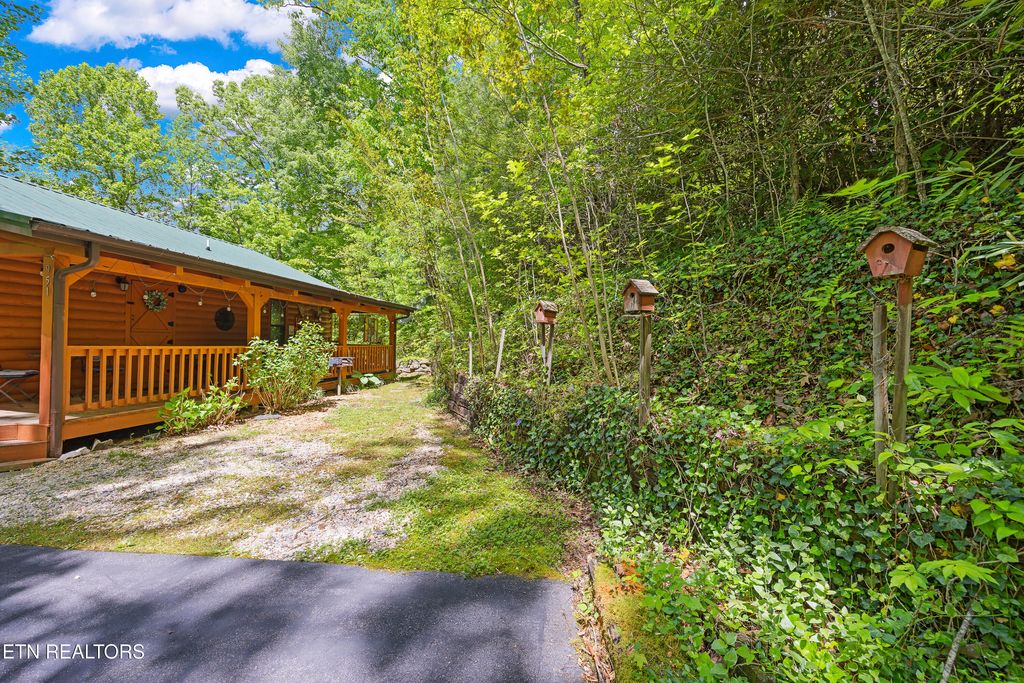 Photo of 951 Emilyville Way, Cosby, TN 37722 (MLS # 1339184)
