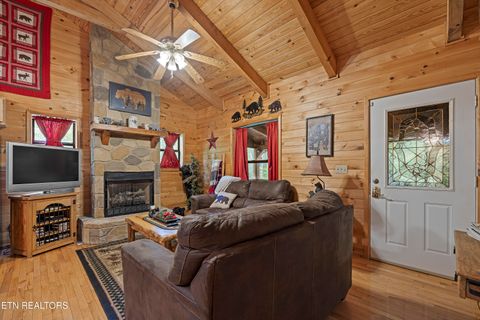 Tiny photo for 951 Emilyville Way, Cosby, TN 37722 (MLS # 1339184)