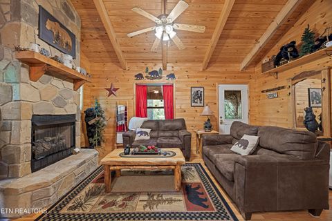 Tiny photo for 951 Emilyville Way, Cosby, TN 37722 (MLS # 1339184)