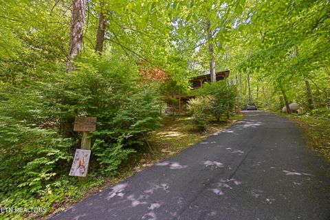 Tiny photo for 951 Emilyville Way, Cosby, TN 37722 (MLS # 1339184)