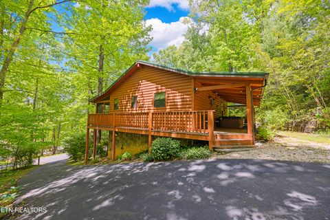 Tiny photo for 951 Emilyville Way, Cosby, TN 37722 (MLS # 1339184)