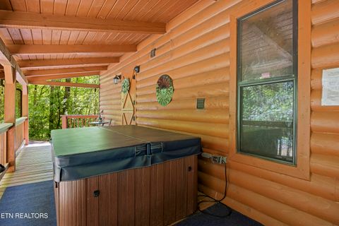 Tiny photo for 951 Emilyville Way, Cosby, TN 37722 (MLS # 1339184)