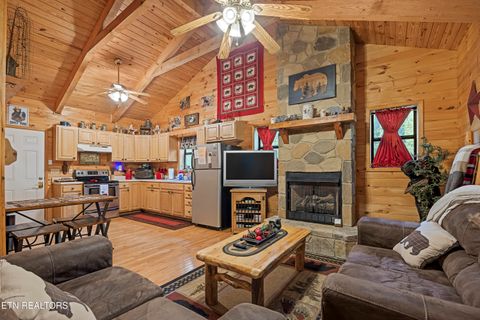 Tiny photo for 951 Emilyville Way, Cosby, TN 37722 (MLS # 1339184)