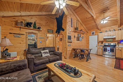 Tiny photo for 951 Emilyville Way, Cosby, TN 37722 (MLS # 1339184)