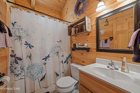 Tiny photo for 951 Emilyville Way, Cosby, TN 37722 (MLS # 1339184)
