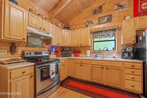 Tiny photo for 951 Emilyville Way, Cosby, TN 37722 (MLS # 1339184)