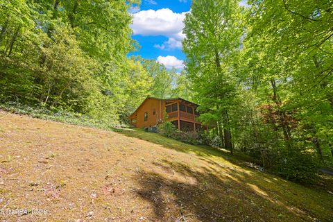 Tiny photo for 951 Emilyville Way, Cosby, TN 37722 (MLS # 1339184)