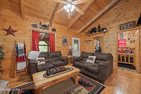 Tiny photo for 951 Emilyville Way, Cosby, TN 37722 (MLS # 1339184)