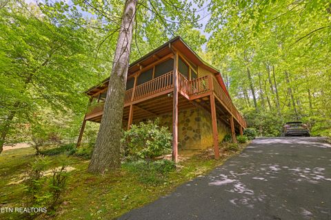 Tiny photo for 951 Emilyville Way, Cosby, TN 37722 (MLS # 1339184)
