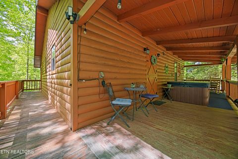 Tiny photo for 951 Emilyville Way, Cosby, TN 37722 (MLS # 1339184)