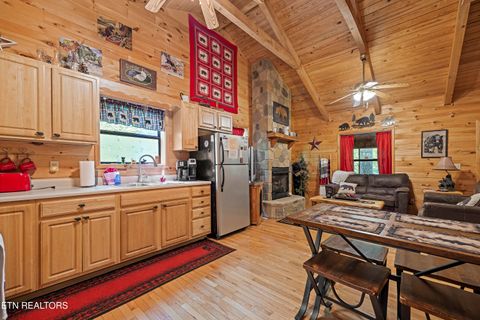 Tiny photo for 951 Emilyville Way, Cosby, TN 37722 (MLS # 1339184)