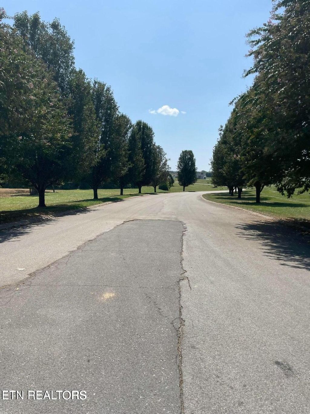 Photo of 130 Old Hickory Cir Circle, Madisonville, TN 37354 (MLS # 1284061)